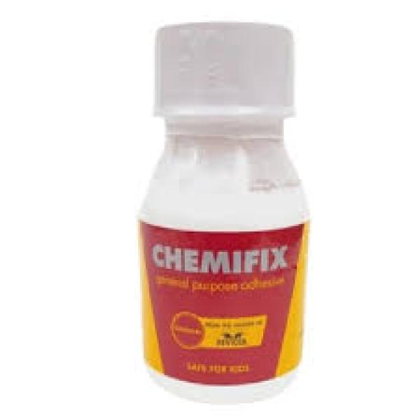 CHEMIFIX KIDS GLUE 250G