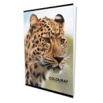 colouray 120 pages  jaffna rule excersise books